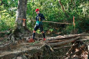 BIB: 
                            <button type="button" onclick="openModal(27552986)" class="btn btn-primary btn-sm float-right btn-popup" data-toggle="modal" data-target=".modal-high-quality">
                        <i class="fas fa-shopping-cart"></i> Add to Cart
                    </button>
                                            <button type="button" onclick="isThisMe(27552986, true)" class="btn btn-success btn-sm float-right btn-popup btn-isme hidden" data-toggle="tooltip" data-placement="bottom" title="นี่คือรูปของคุณใช่ไหม คลิกที่นี่เพื่อเอาเข้าอัลบั้ม">
                        <i class="fas fa-plus"></i> Add to album
                    </button>
                    <button type="button" onclick="isThisMe(27552986, false)" class="btn btn-warning btn-sm float-right btn-popup btn-isnotme hidden">
                        <i class="fas fa-ban"></i> Remove from album
                    </button>